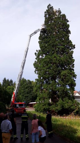 Einsatz der Autodrehleiter beim Kinderheim Bachtelen Grenchen